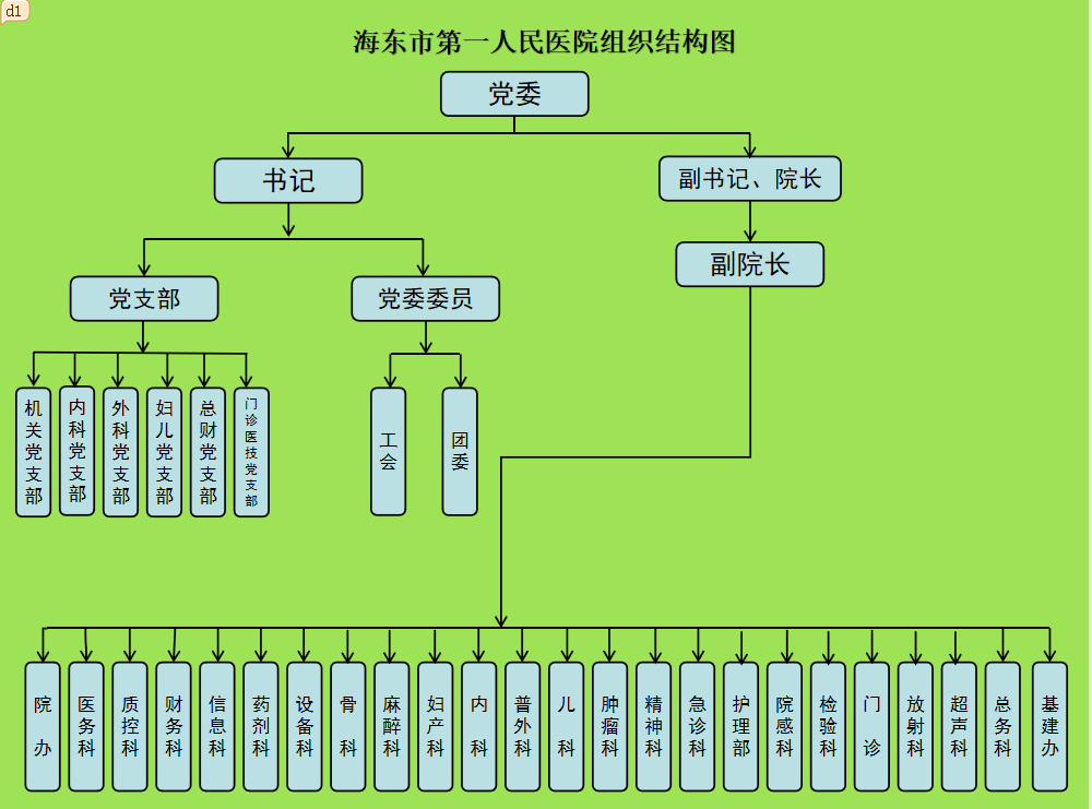 组织结构 海东市第一人民医院